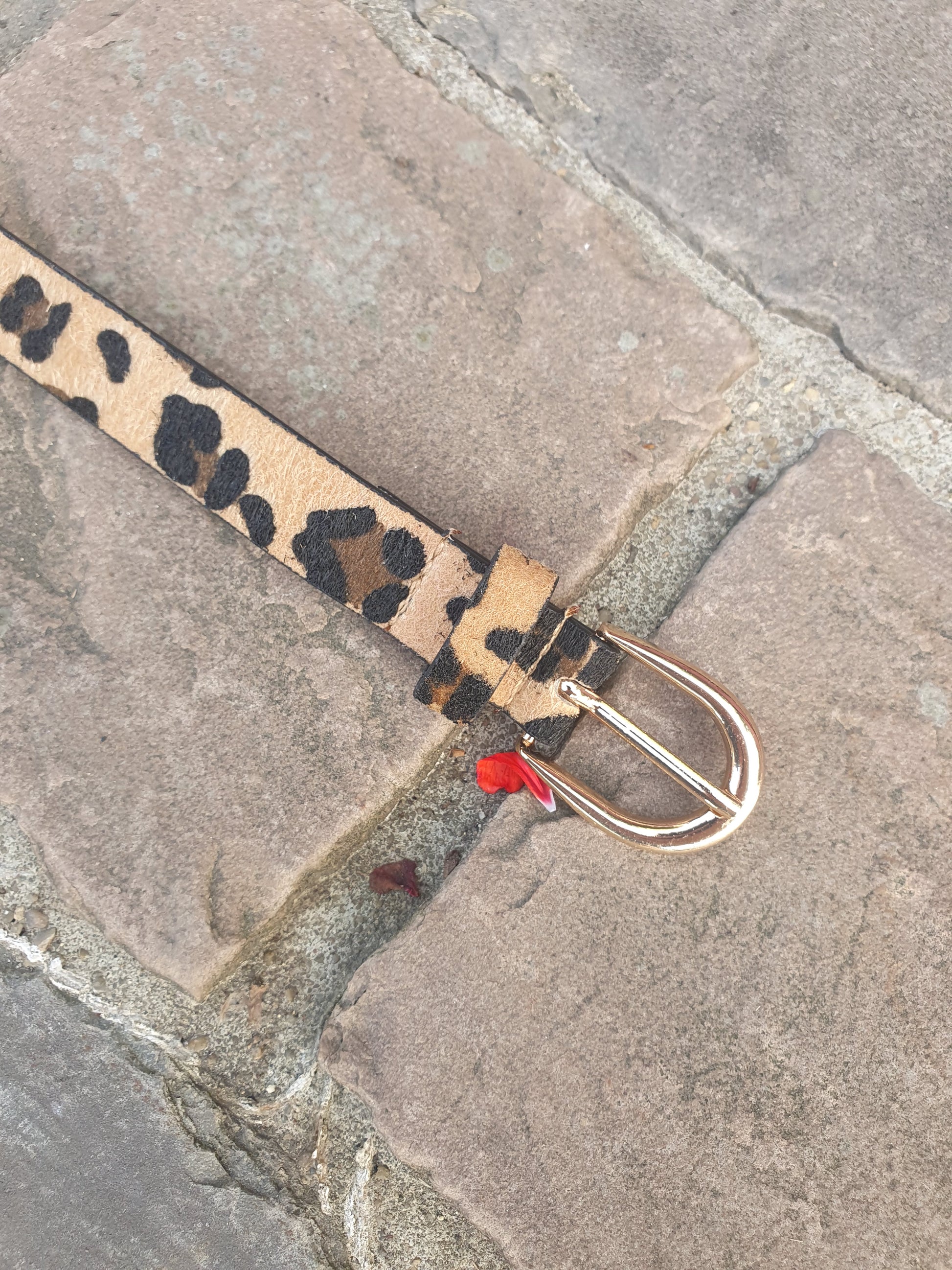 Ceinture fine motif léopard avec boucle dorée pour femme