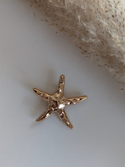 Broche ETOILE DE MER
